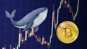 O surto de Bitcoin liderado pela baleia rompe a barreira dos $44K, mais ganhos à frente?