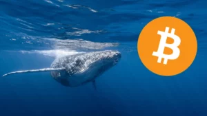 A antiga baleia Bitcoin movimenta $60M após 12 anos!