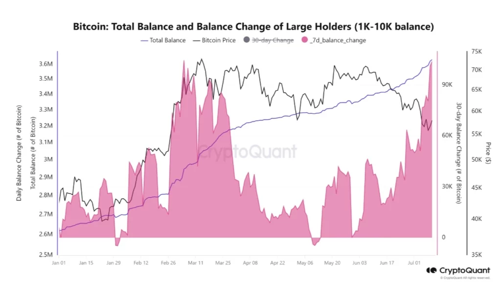 variação-diária-do-saldo-de-Bitcoin