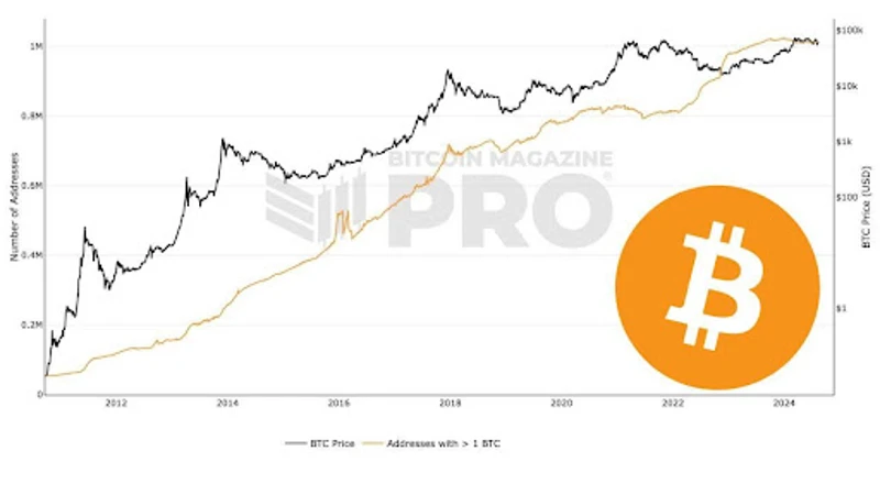 Gráfico que mostra o número de endereços de Bitcoin com 1 BTC
