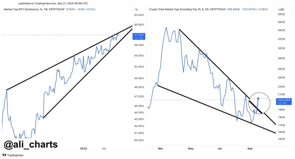 Tendência-ascendente-nos-mercados-de-altcoin